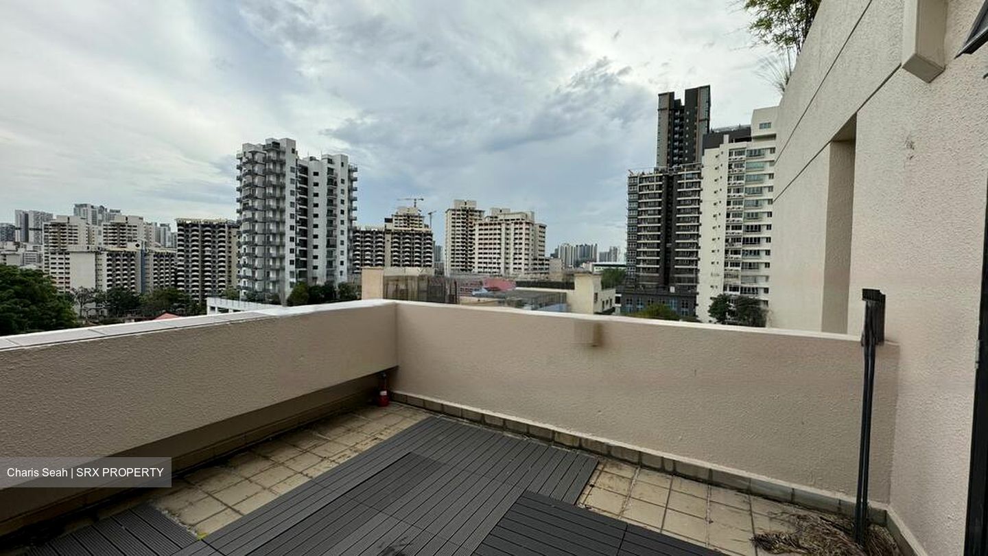 Balestier Point (D12), Apartment #497602531